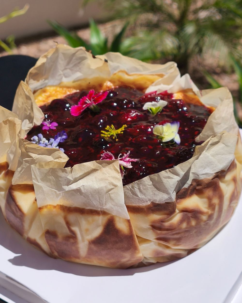 Pay de queso con frutos rojos y flores comestibles
